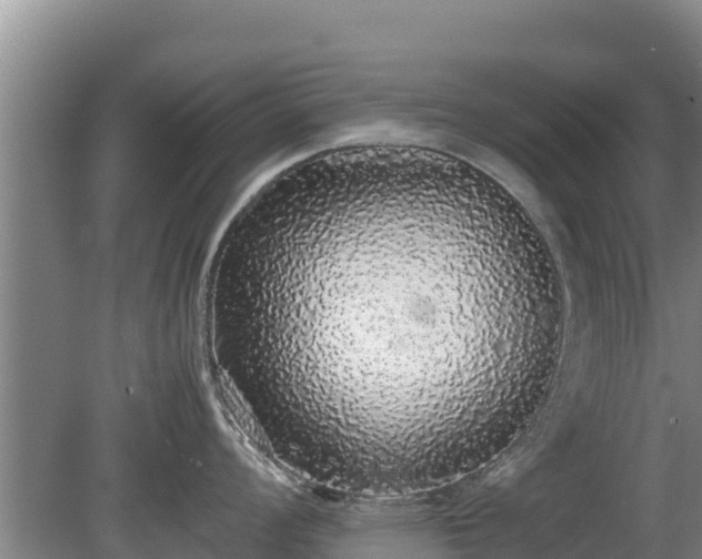 X0000080731008200612221248