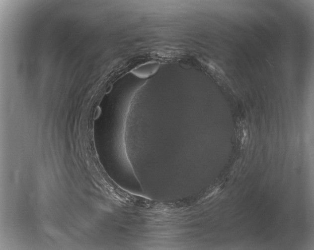 X0000080731009200612221247