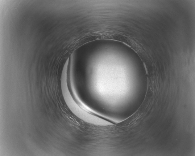 X0000080731010200612221247