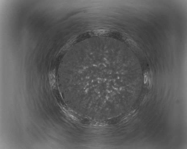 X0000080731011200612221247