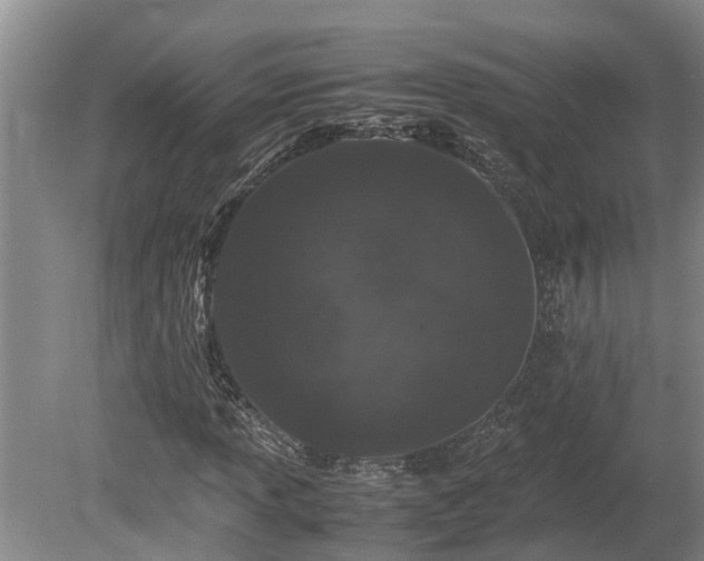 X0000080731013200612221247