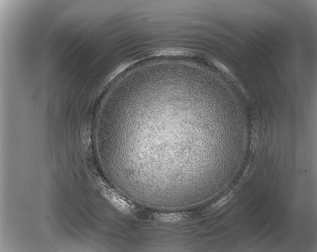 X0000080731017200612221247