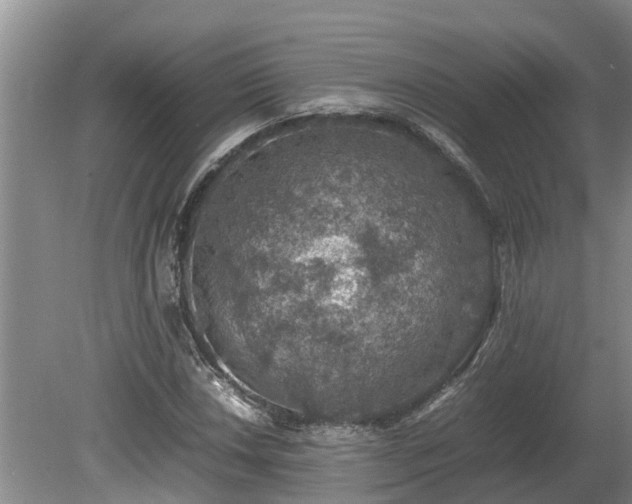 X0000080731018200612221247