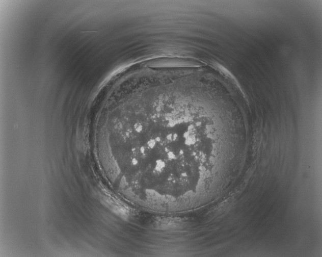 X0000080731019200612221247