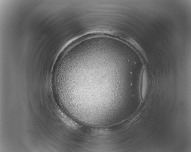 X0000080731020200612221247