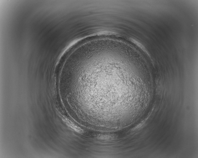 X0000080731021200612221247