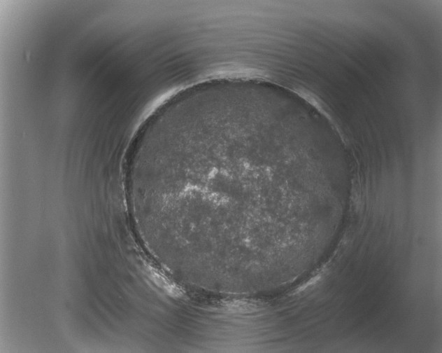 X0000080731022200612221247