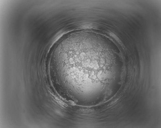 X0000080731023200612221247