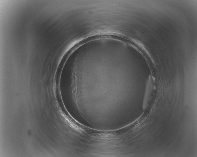 X0000080731024200612221247