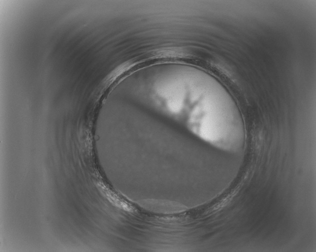 X0000080731025200612221247