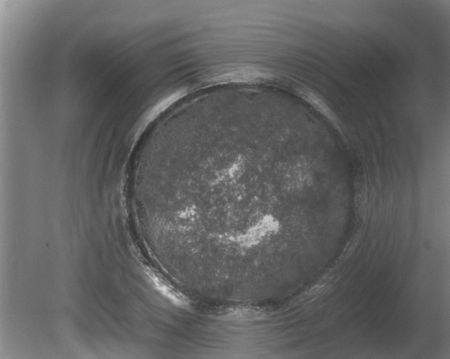 X0000080731026200612221247