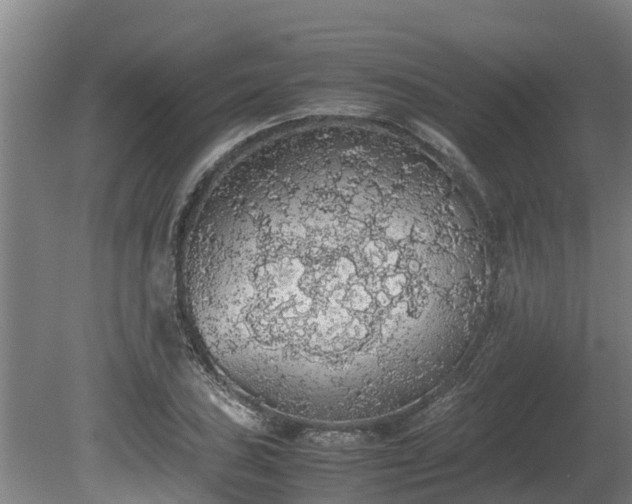 X0000080731027200612221247