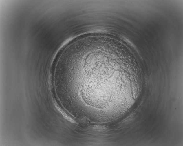 X0000080731029200612221247