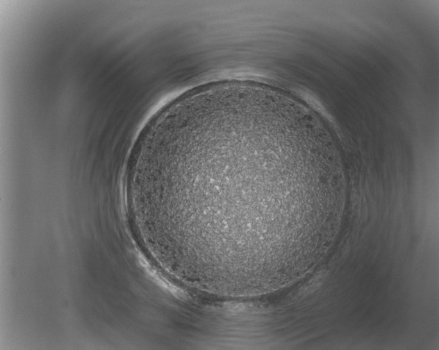 X0000080731032200612221247