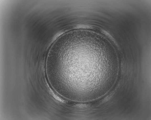 X0000080731033200612221247