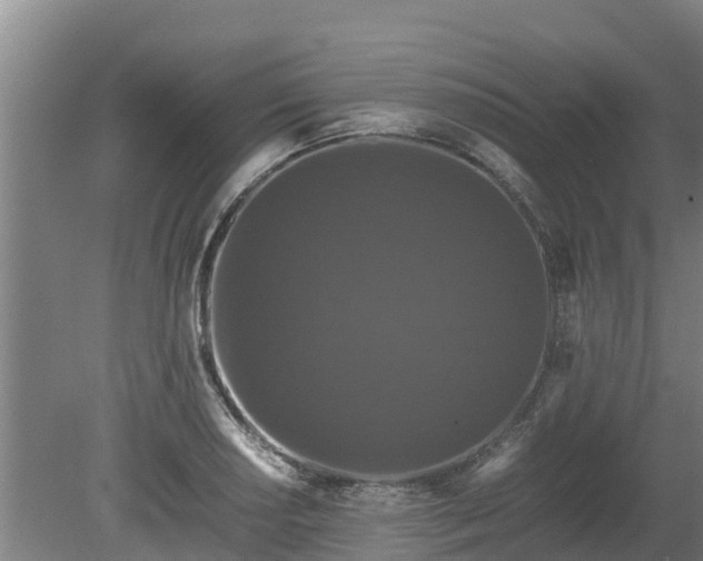 X0000080731034200612221247