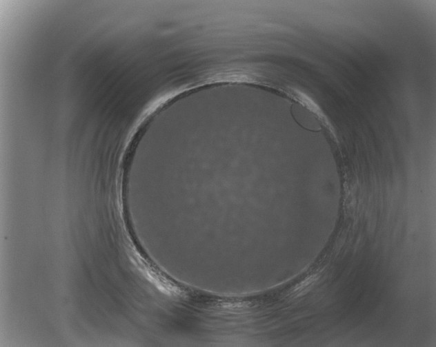 X0000080731035200612221247