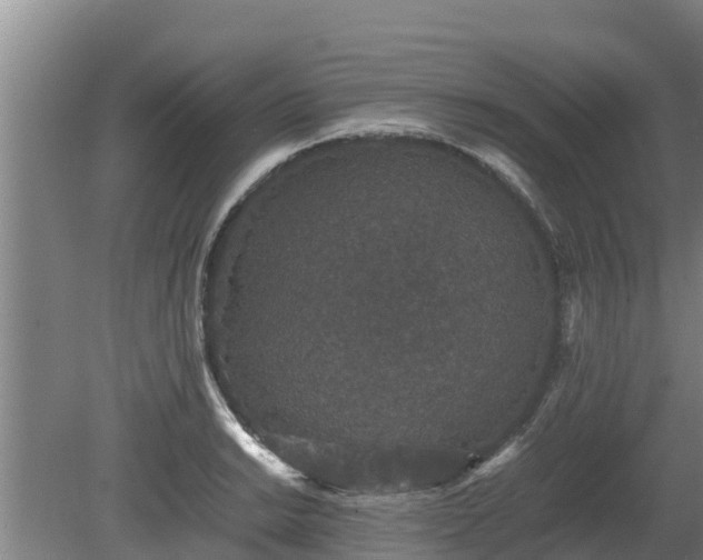 X0000080731038200612221248