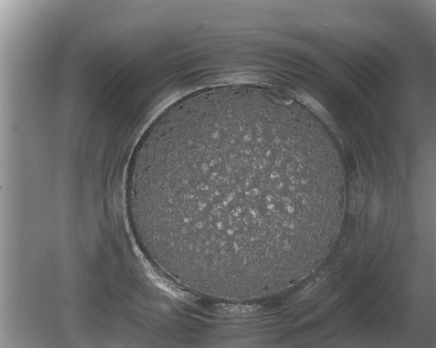 X0000080731039200612221248