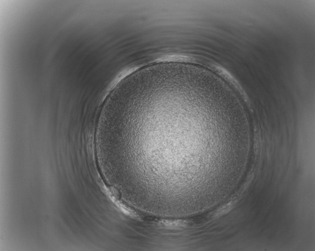 X0000080731041200612221248