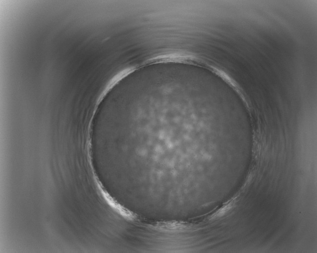 X0000080731042200612221248