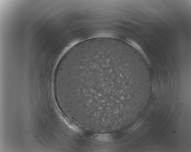 X0000080731043200612221248