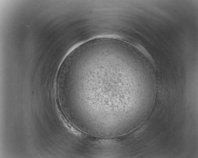 X0000080731044200612221248