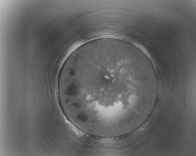 X0000080731048200612221248