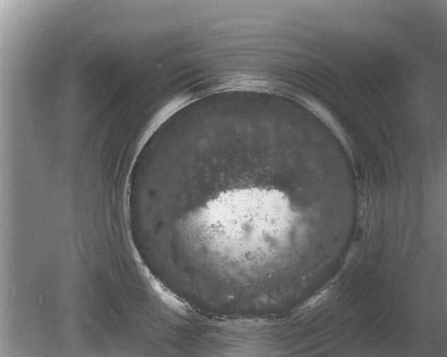 X0000080731050200612221248