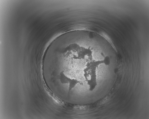 X0000080731051200612221248