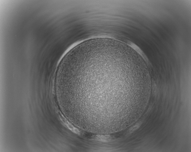 X0000080731052200612221248