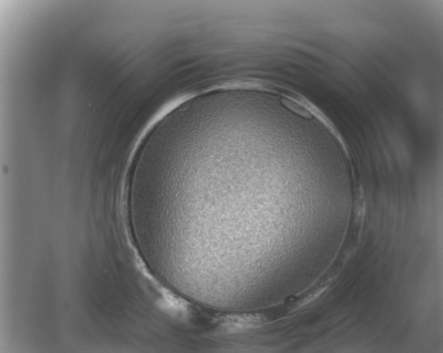 X0000080731053200612221248