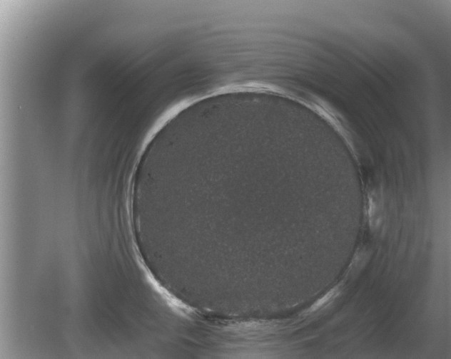 X0000080731054200612221248