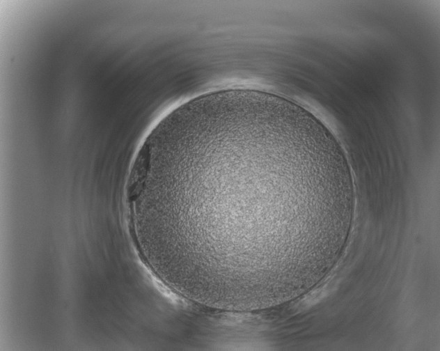 X0000080731056200612221248