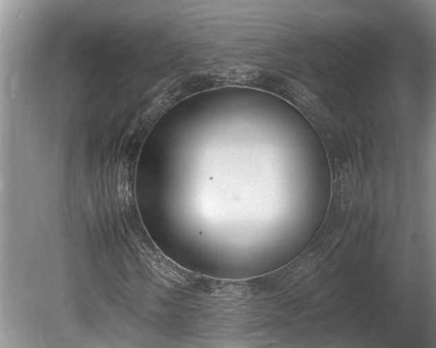 X0000080731058200612221247