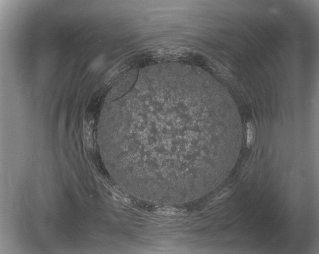 X0000080731059200612221247