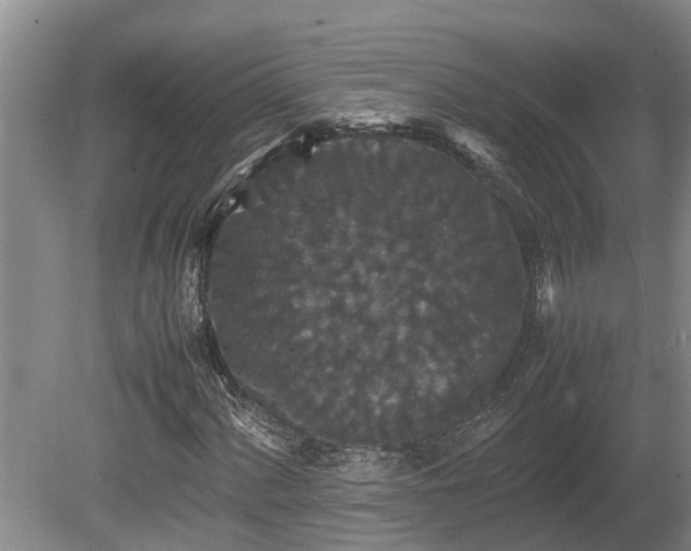 X0000080731060200612221247