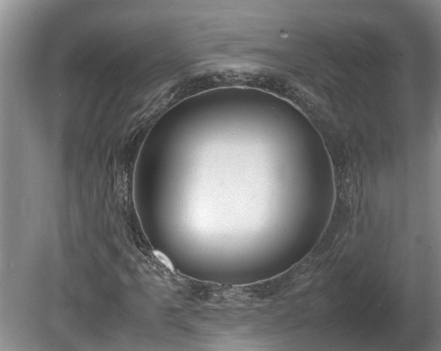 X0000080731061200612221247