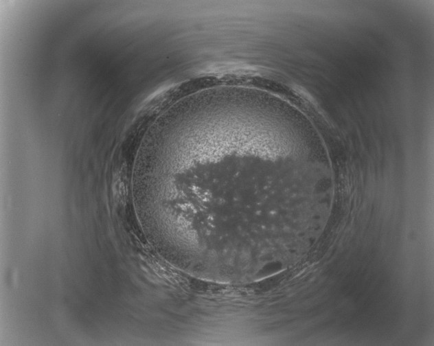 X0000080731063200612221247