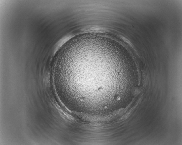 X0000080731066200612221247