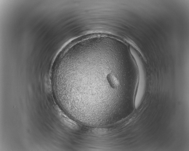 X0000080731068200612221247