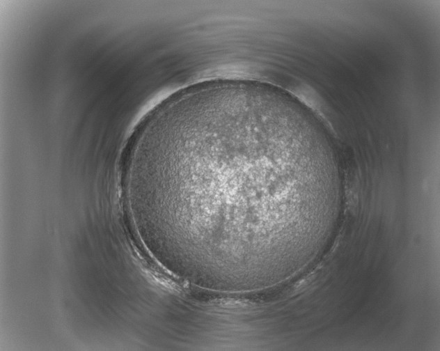 X0000080731070200612221247