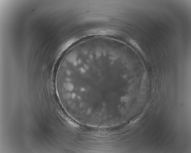 X0000080731071200612221247