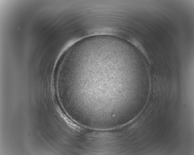 X0000080731072200612221247