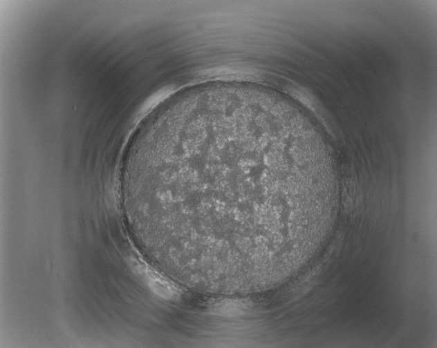 X0000080731074200612221247