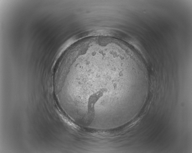 X0000080731075200612221247