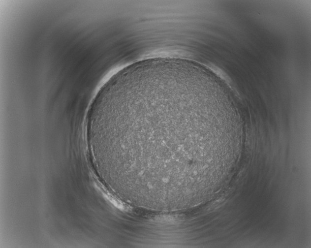 X0000080731078200612221247