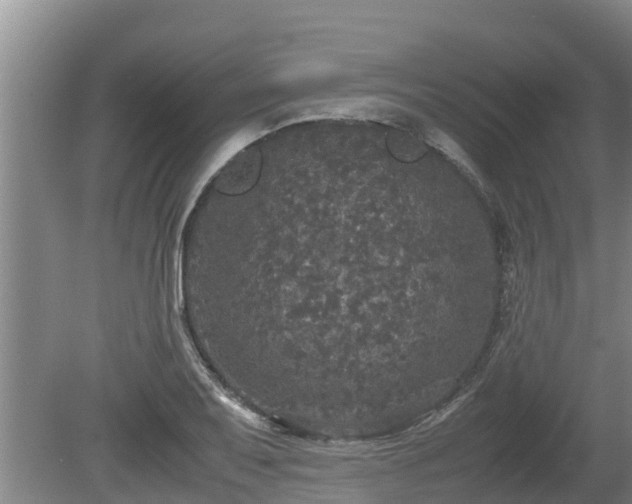 X0000080731079200612221247