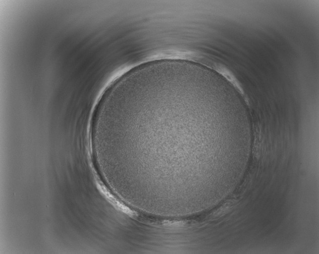 X0000080731080200612221247