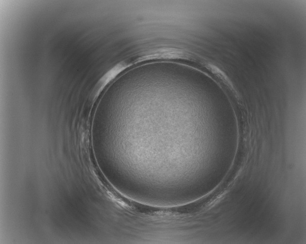 X0000080731081200612221247